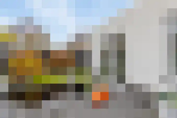Rietdekker 21 Nederweert thumbnail 31