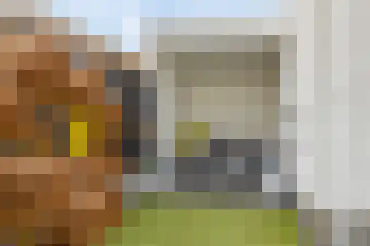 Rietdekker 21 Nederweert thumbnail 32