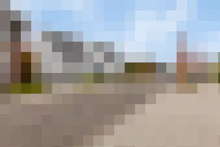 Rietdekker 21 Nederweert thumbnail 34