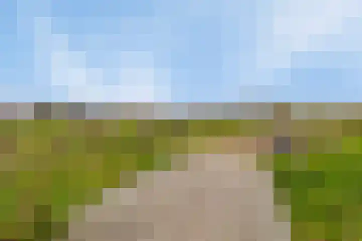 Rietdekker 21 Nederweert thumbnail 35