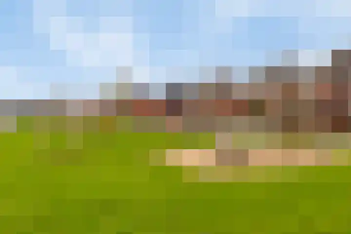 Rietdekker 21 Nederweert thumbnail 36