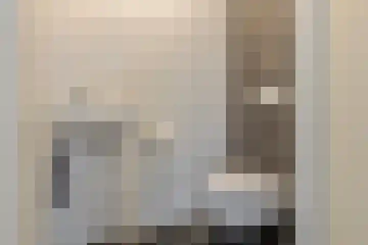 Rietdekker 21 Nederweert thumbnail 6