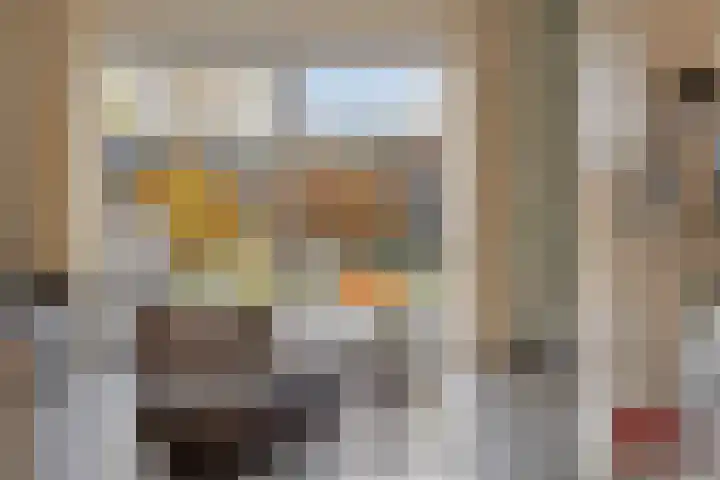Rietdekker 21 Nederweert thumbnail 9