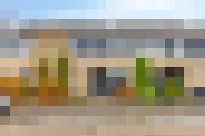 Rietdekker 22 Poortugaal thumbnail 31