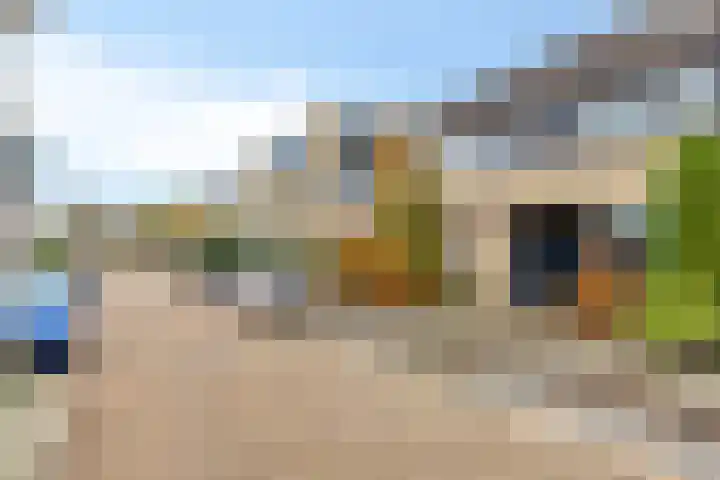Rietdekker 22 Poortugaal thumbnail 32
