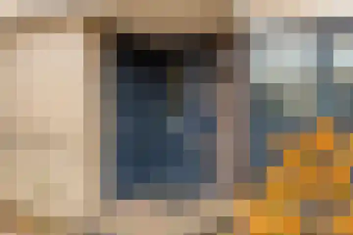 Rietdekker 22 Poortugaal thumbnail 33