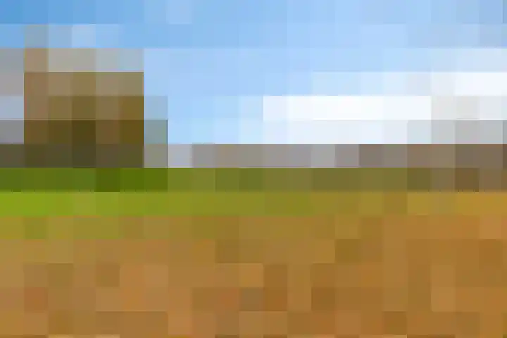 Rietdekker 22 Poortugaal thumbnail 34