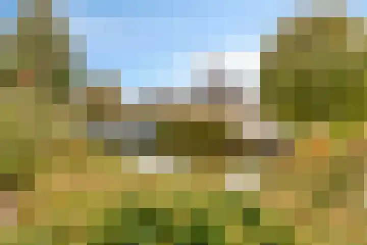 Rietdekker 22 Poortugaal thumbnail 35
