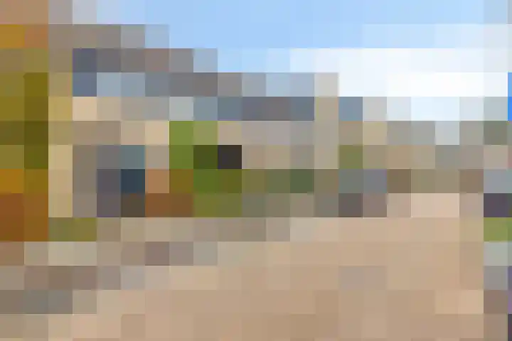 Rietdekker 22 Poortugaal thumbnail 4