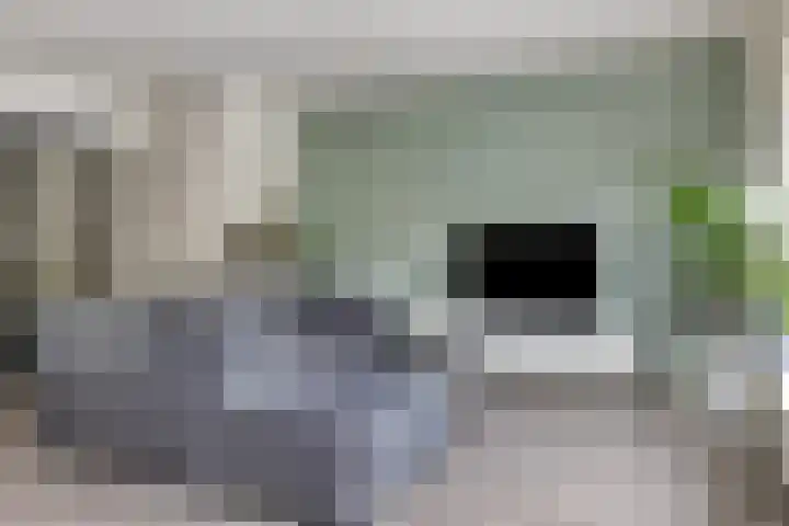 Rietdekker 22 Poortugaal thumbnail 7