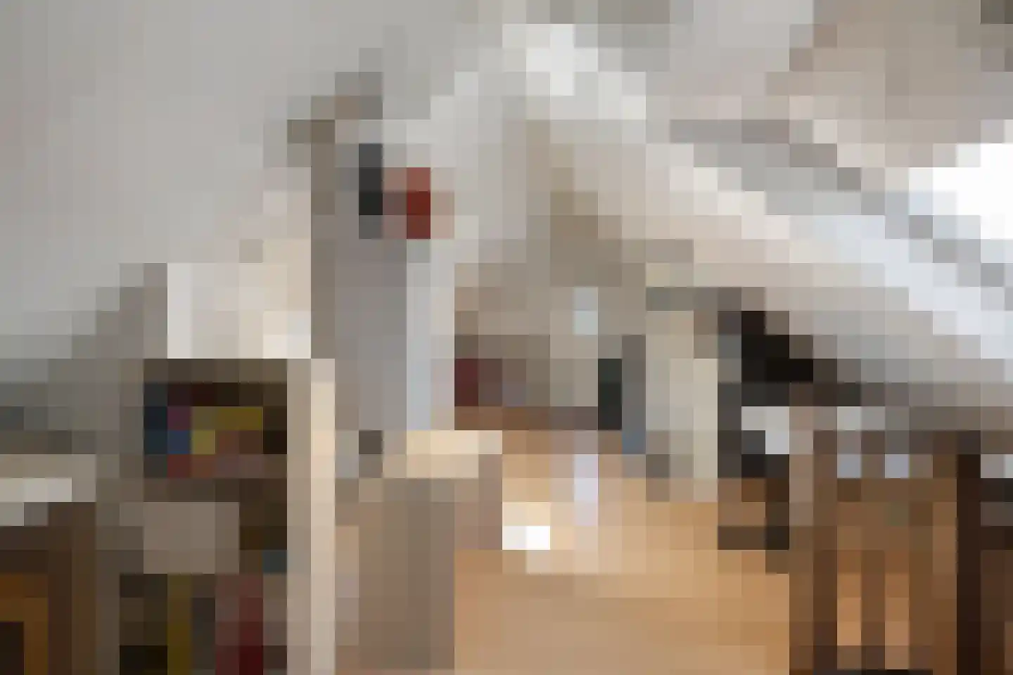 Rietdekker 25 Poortugaal thumbnail 38