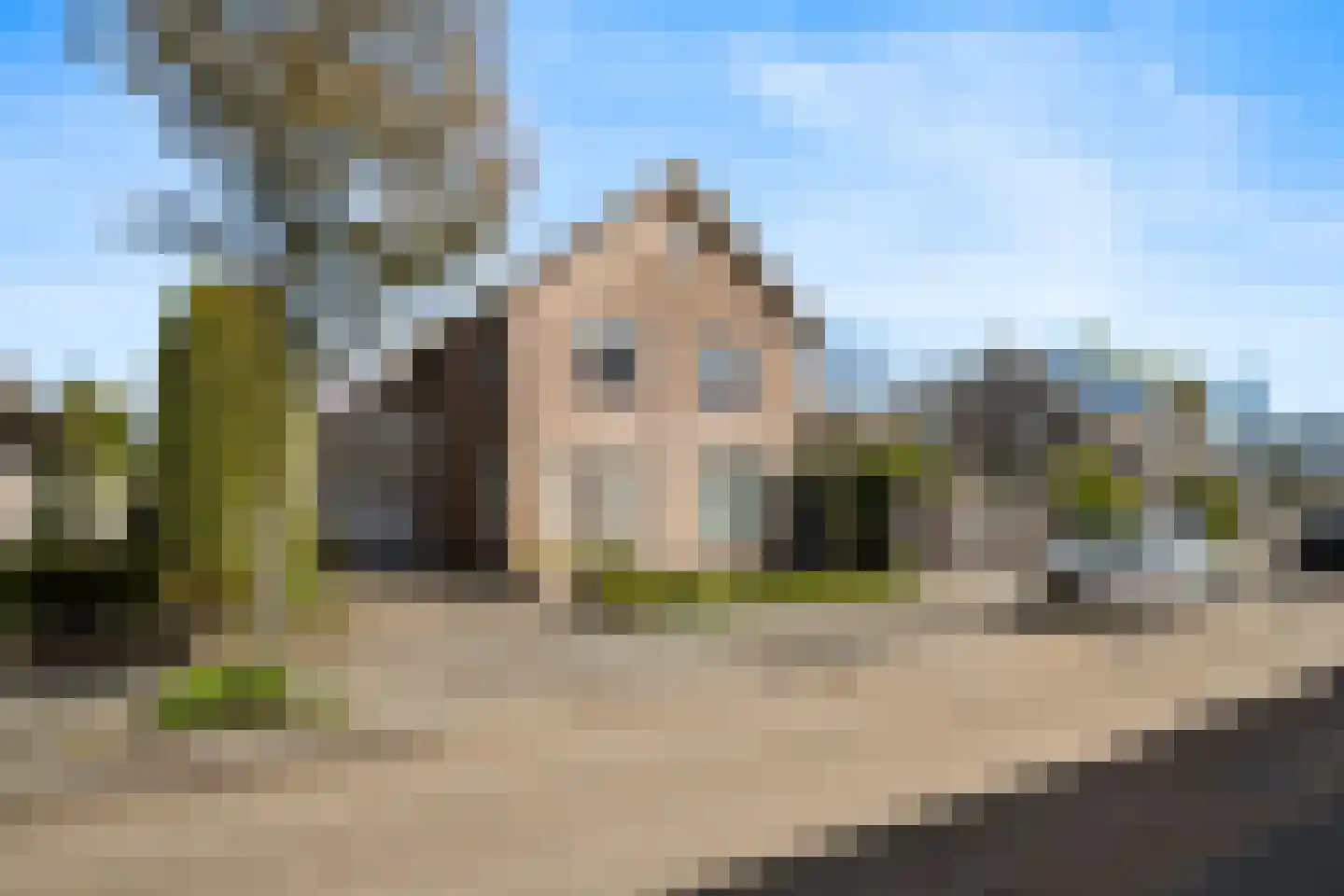 Rietdekker 25 Poortugaal thumbnail 4