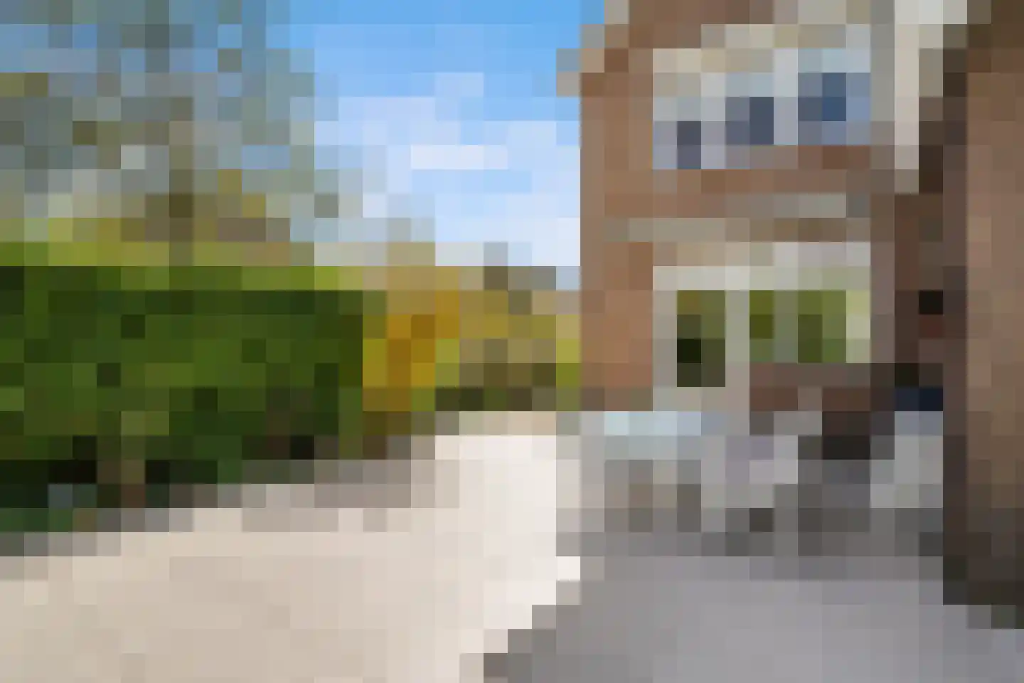 Rietdekker 25 Poortugaal thumbnail 45