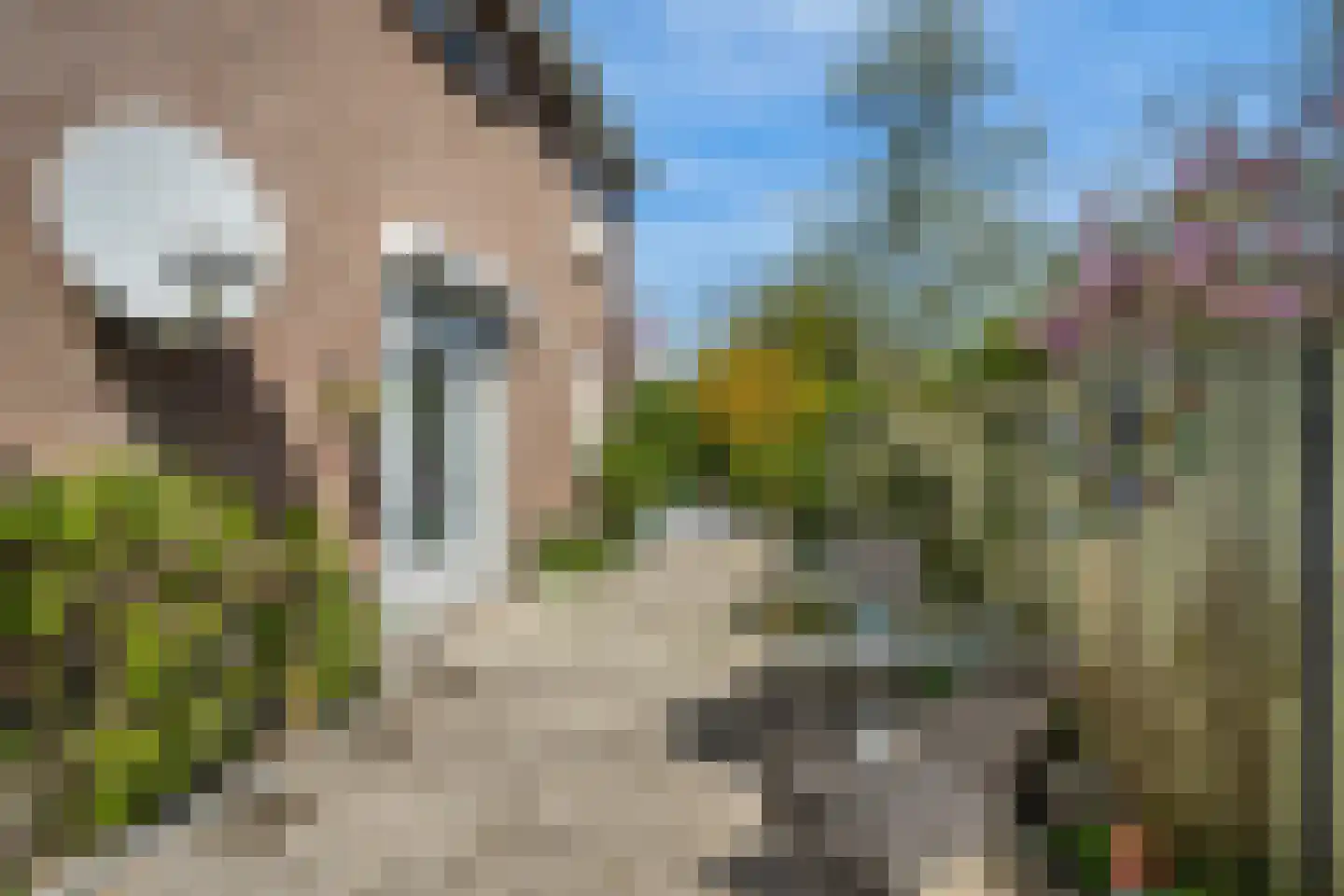 Rietdekker 25 Poortugaal thumbnail 48