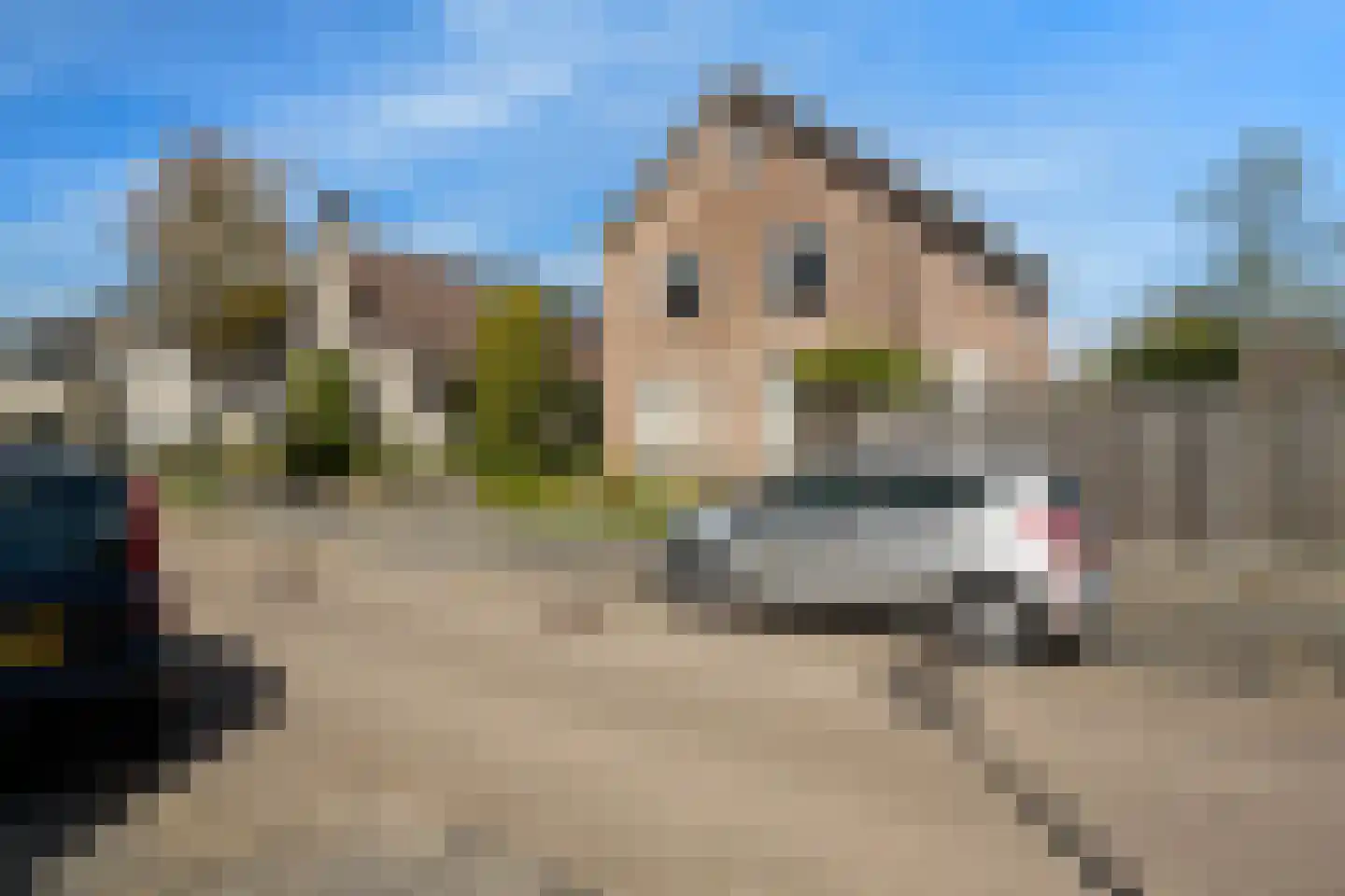 Rietdekker 25 Poortugaal thumbnail 7