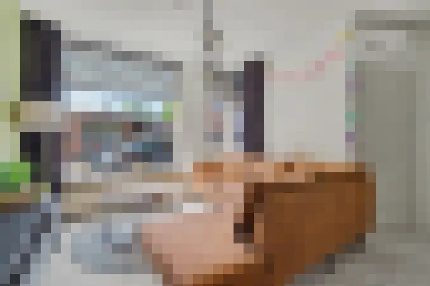 Rietdekker 4 Beuningen Gld thumbnail 10