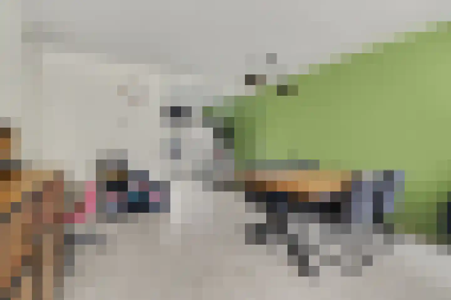 Rietdekker 4 Beuningen Gld thumbnail 14