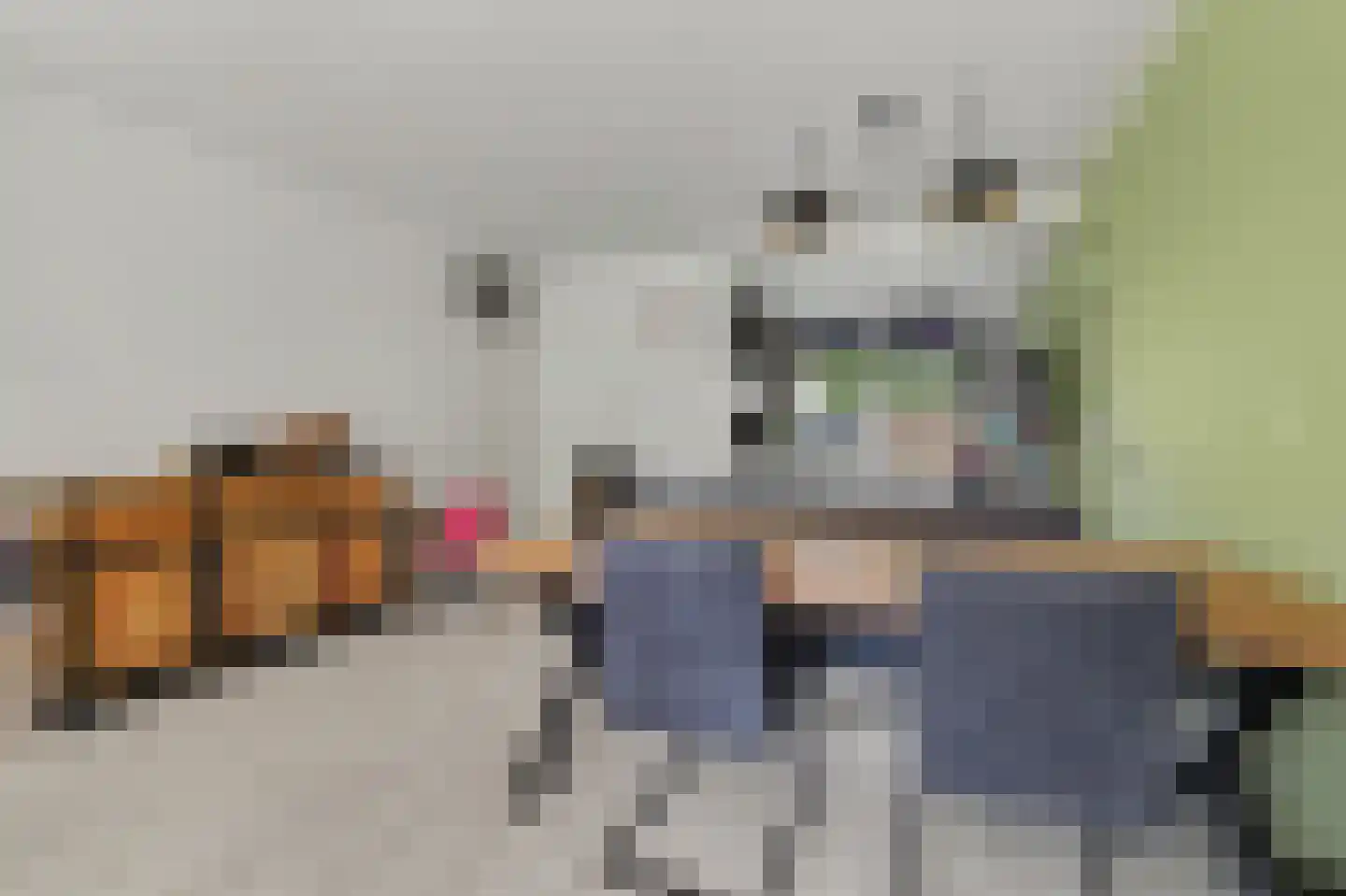 Rietdekker 4 Beuningen Gld thumbnail 15