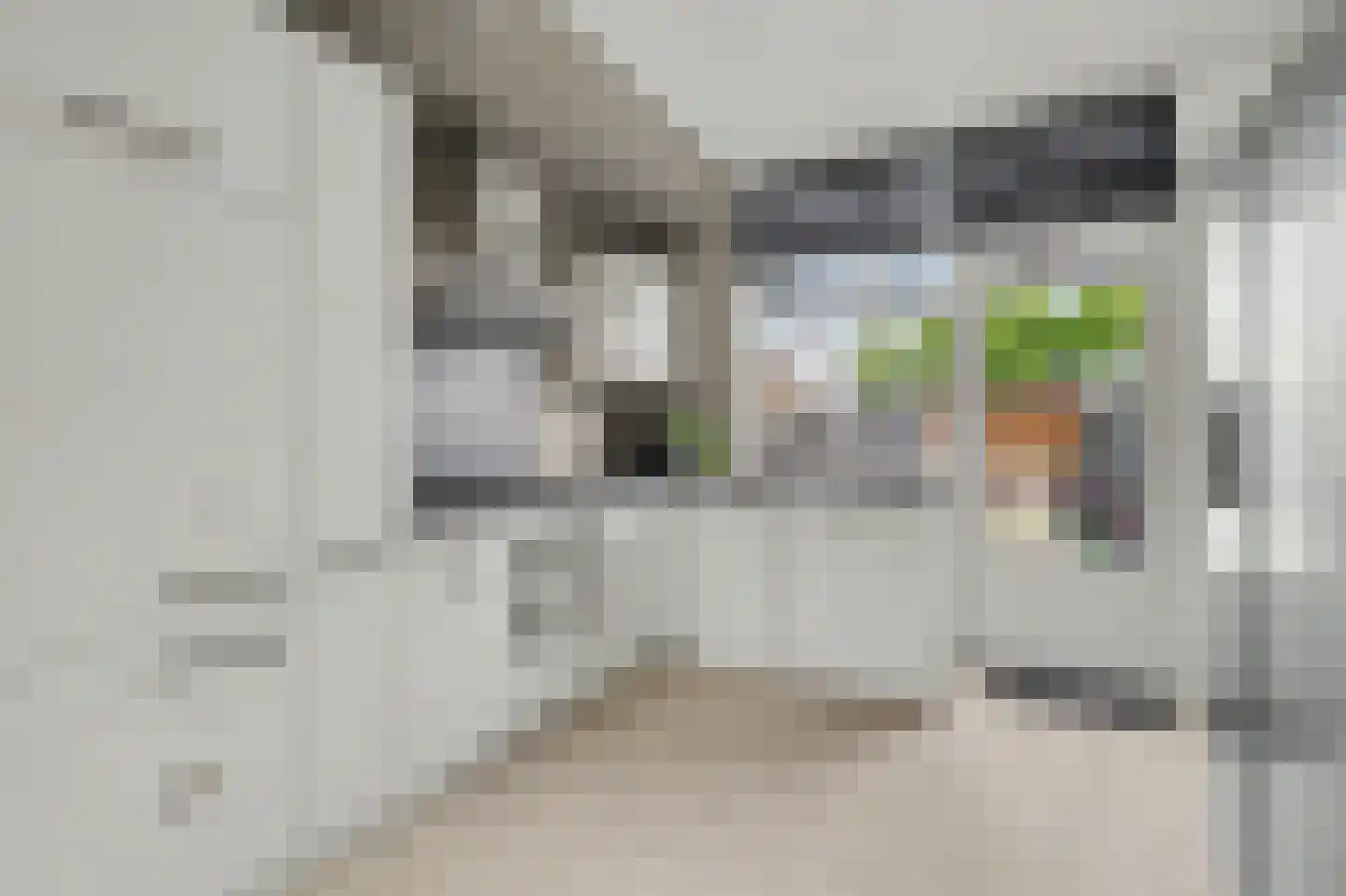 Rietdekker 4 Beuningen Gld thumbnail 17
