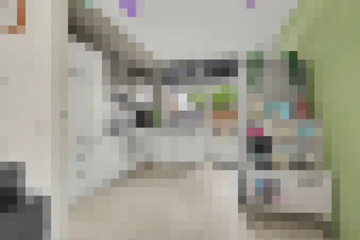 Rietdekker 4 Beuningen Gld thumbnail 18