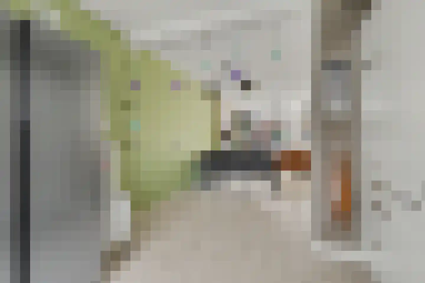 Rietdekker 4 Beuningen Gld thumbnail 19
