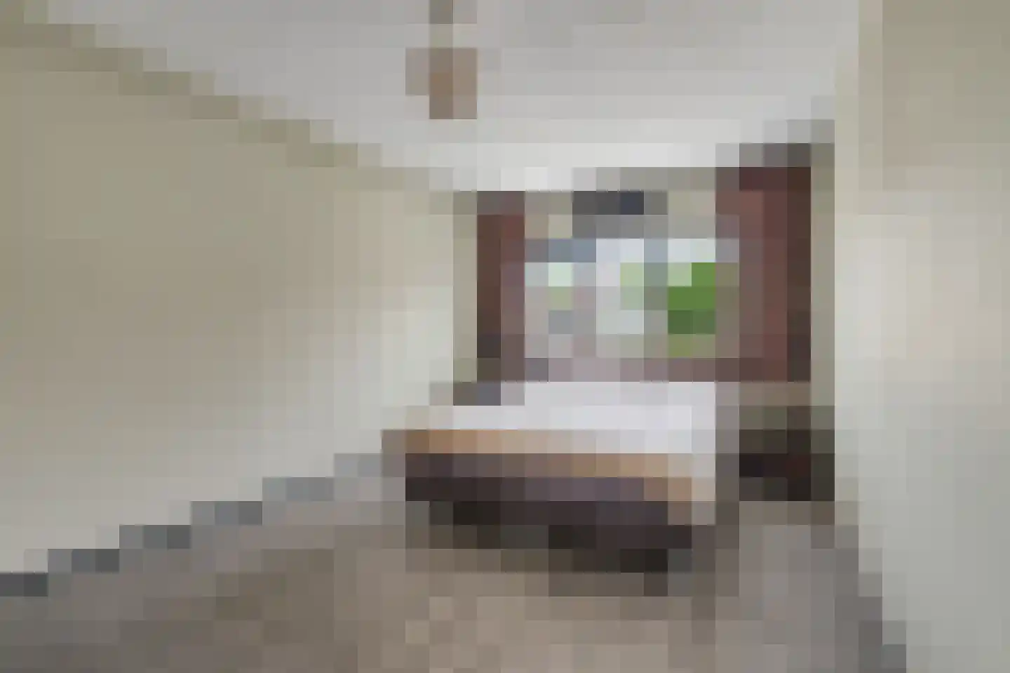 Rietdekker 4 Beuningen Gld thumbnail 24