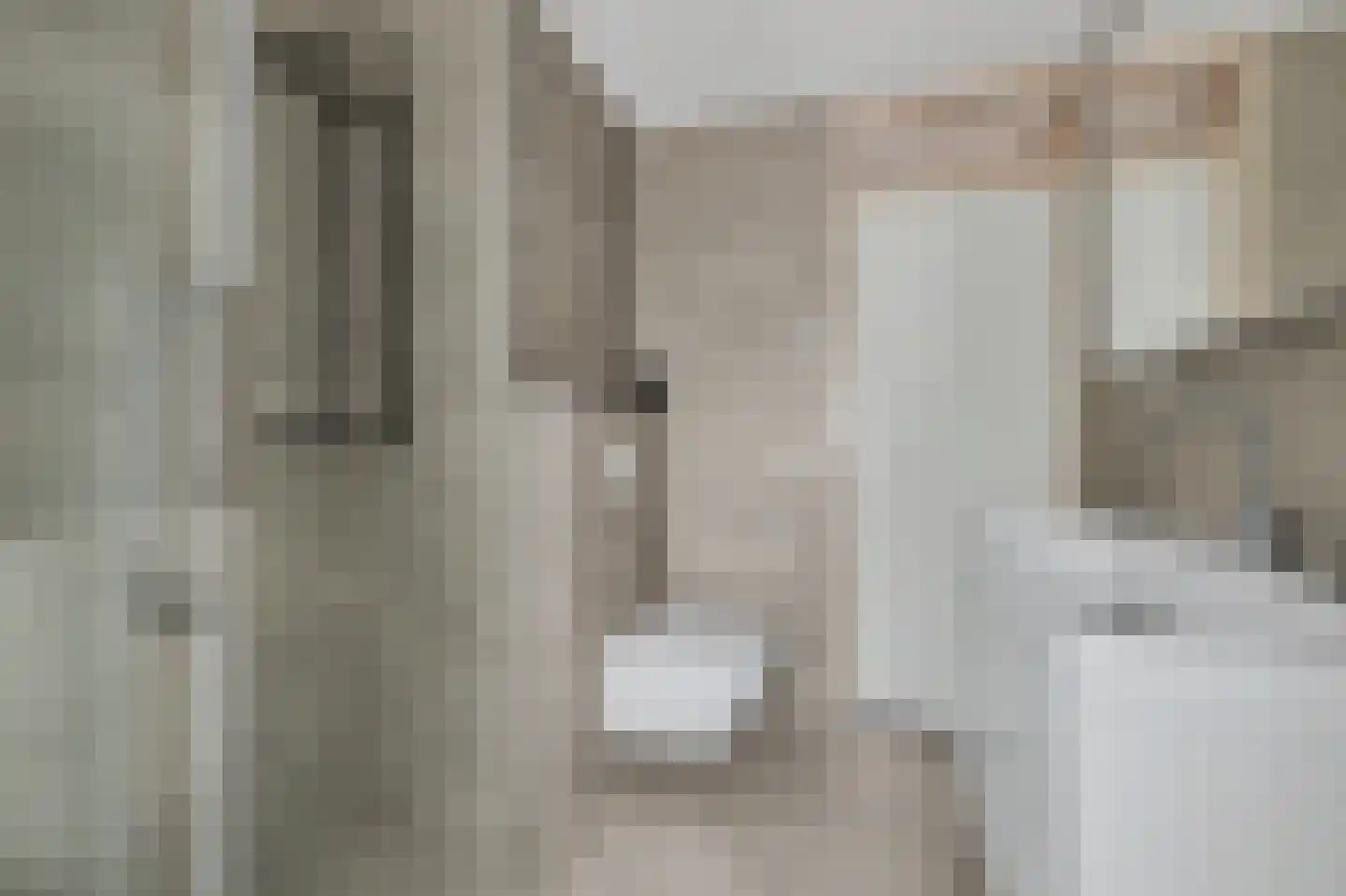 Rietdekker 4 Beuningen Gld thumbnail 33