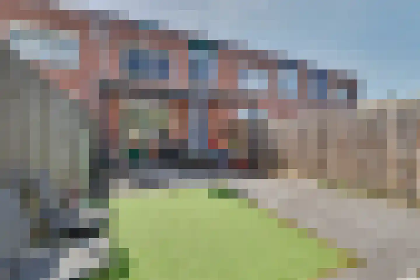 Rietdekker 4 Beuningen Gld thumbnail 39