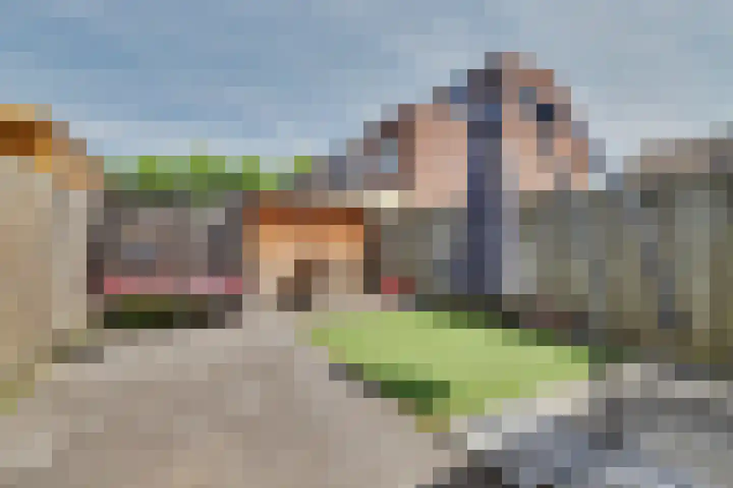 Rietdekker 4 Beuningen Gld thumbnail 42