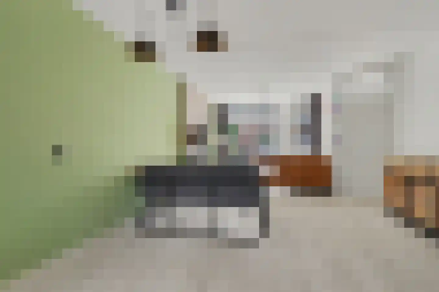 Rietdekker 4 Beuningen Gld thumbnail 6