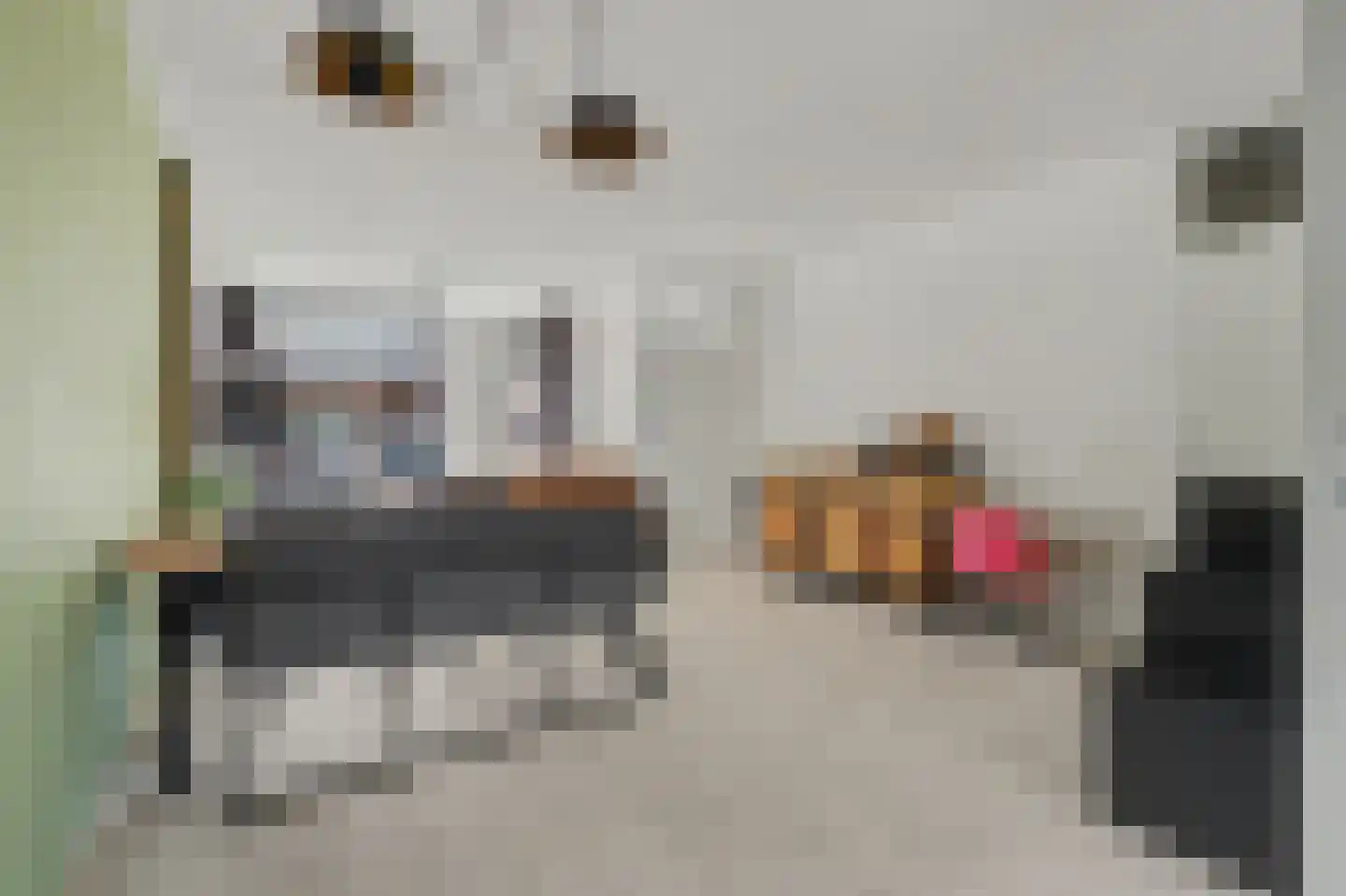 Rietdekker 4 Beuningen Gld thumbnail 7