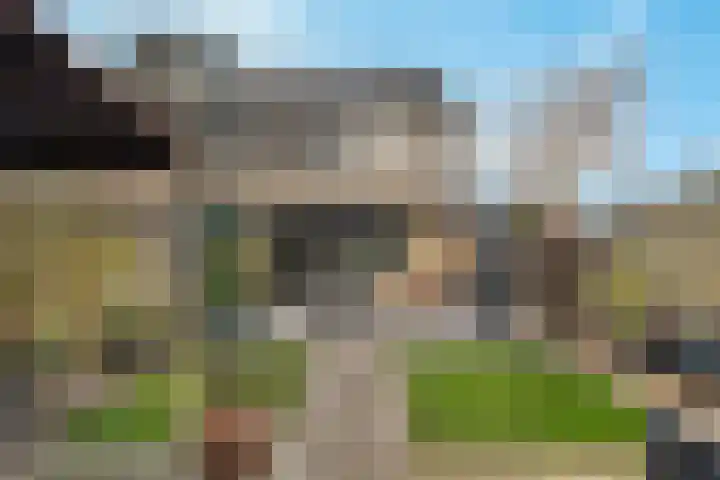 Rietdekker 40 Poortugaal thumbnail 31