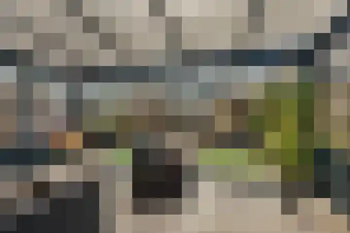 Rietdekker 40 Poortugaal thumbnail 32