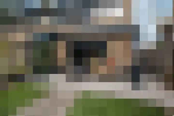 Rietdekker 40 Poortugaal thumbnail 33