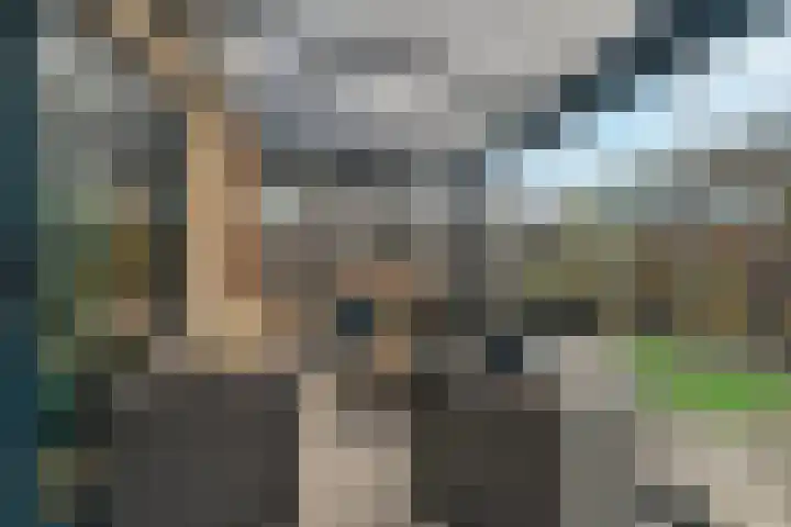 Rietdekker 40 Poortugaal thumbnail 34