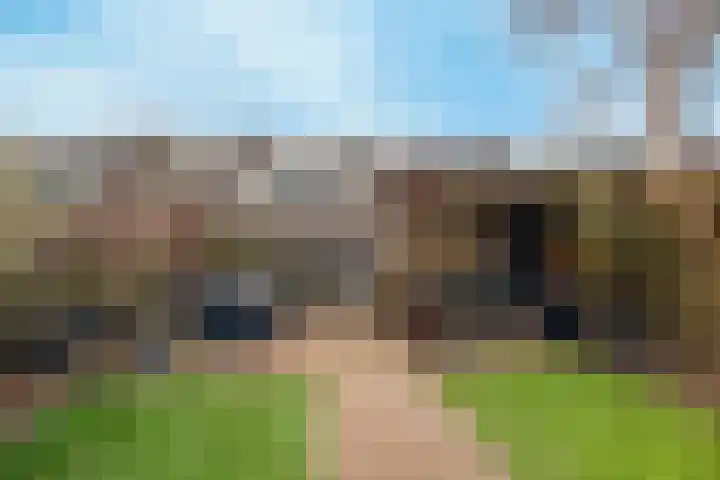 Rietdekker 40 Poortugaal thumbnail 36