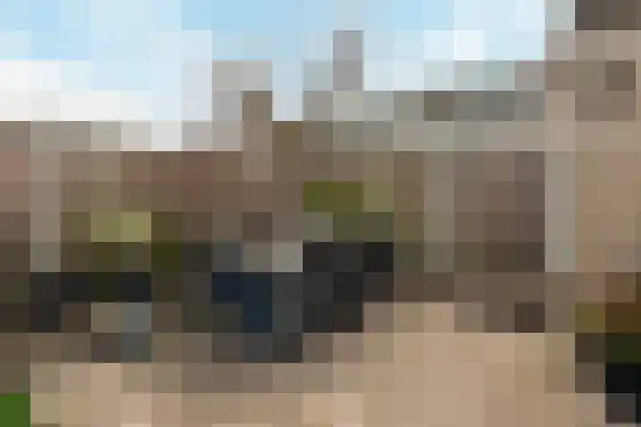 Rietdekker 40 Poortugaal thumbnail 38