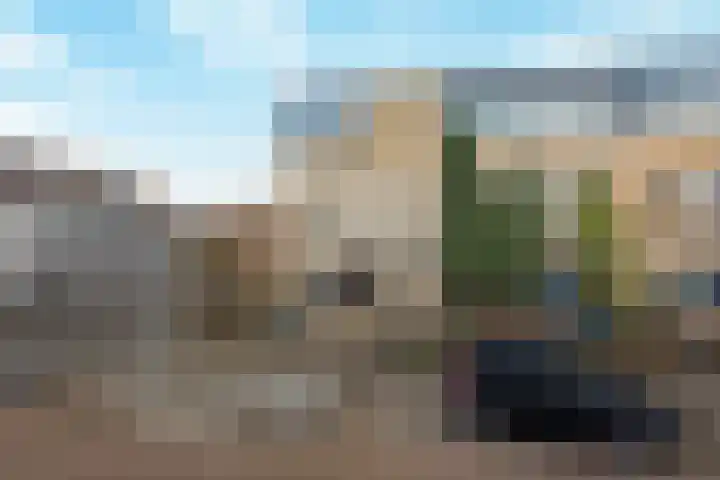 Rietdekker 40 Poortugaal thumbnail 43