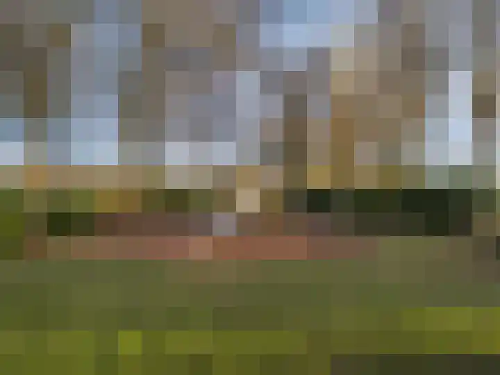 Rietdekker 40 Poortugaal thumbnail 47