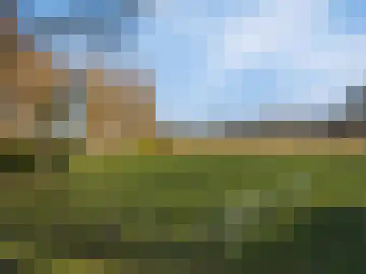 Rietdekker 40 Poortugaal thumbnail 48
