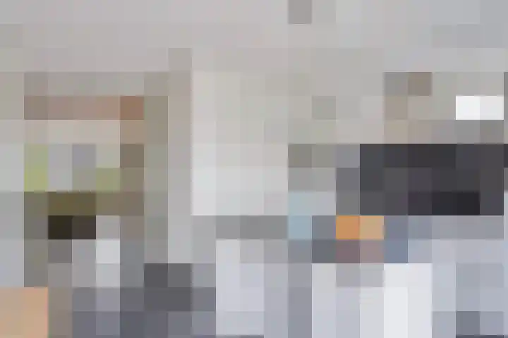 Rietdekker 45 Wijchen thumbnail 10