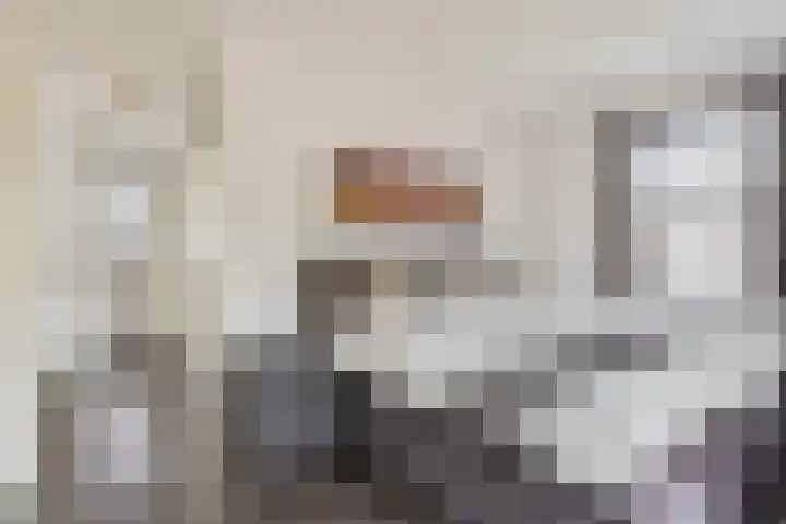 Rietdekker 45 Wijchen thumbnail 17