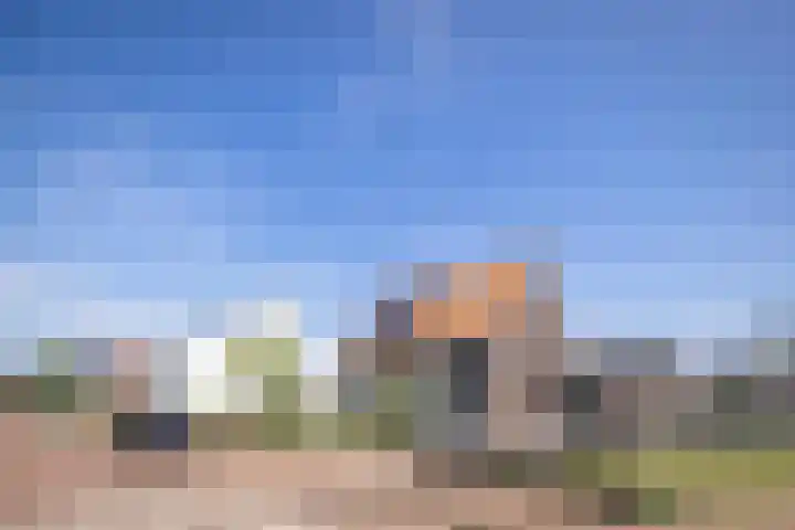 Rietdekker 45 Wijchen thumbnail 35