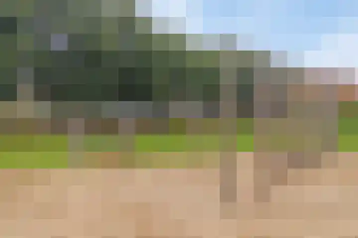 Rietdekker 45 Wijchen thumbnail 36