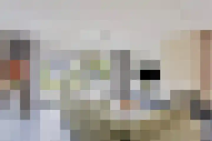 Rietdekker 45 Wijchen thumbnail 6