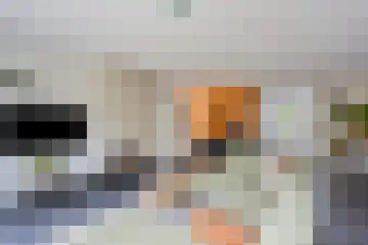 Rietdekker 45 Wijchen thumbnail 8