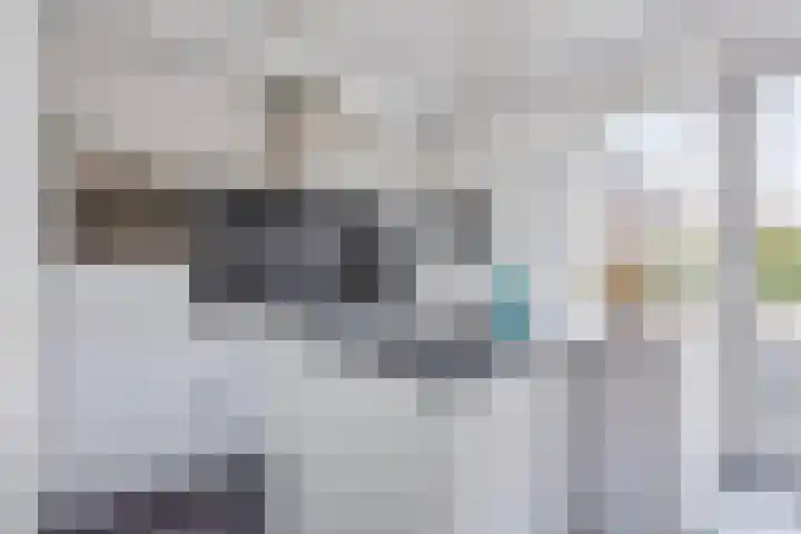 Rietdekker 45 Wijchen thumbnail 9