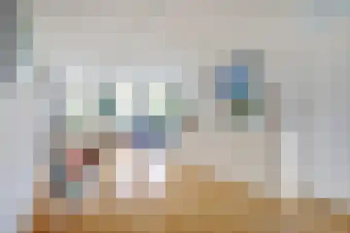 Rietdekker 46 Beuningen Gld thumbnail 10