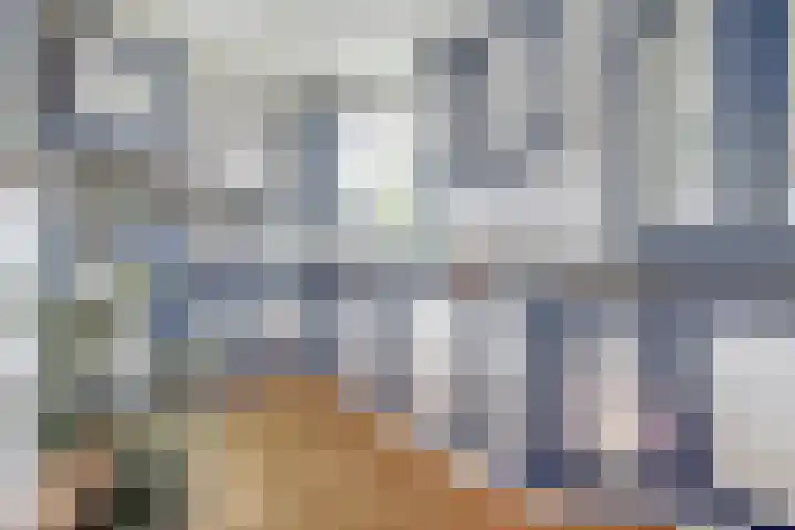 Rietdekker 46 Beuningen Gld thumbnail 12
