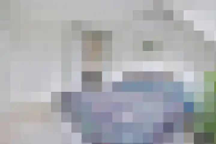 Rietdekker 46 Beuningen Gld thumbnail 18